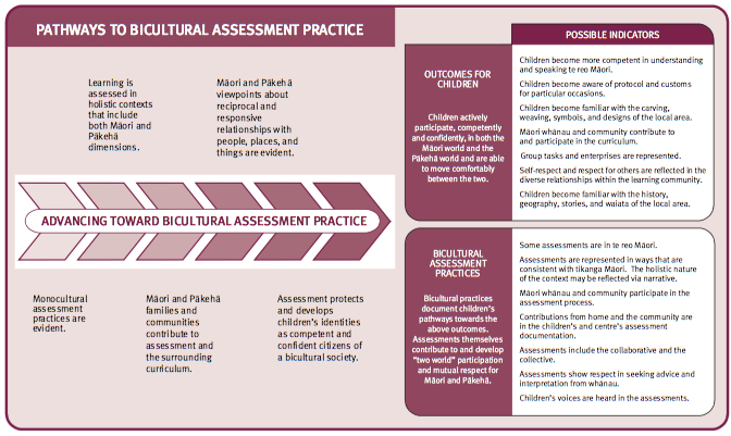 Bicultural assessment diagram