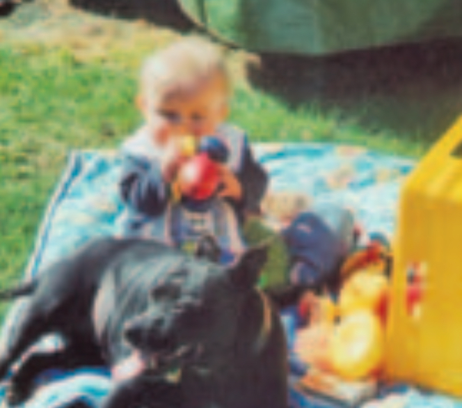 Infant boy on blanket with dog