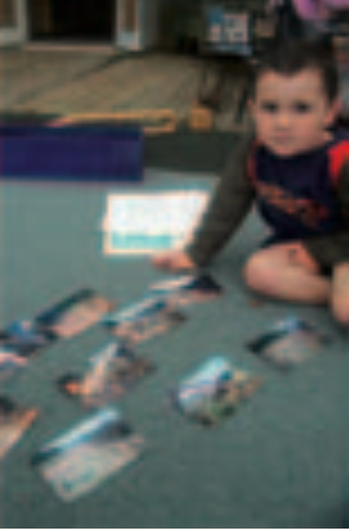 Boy with photos on carpet