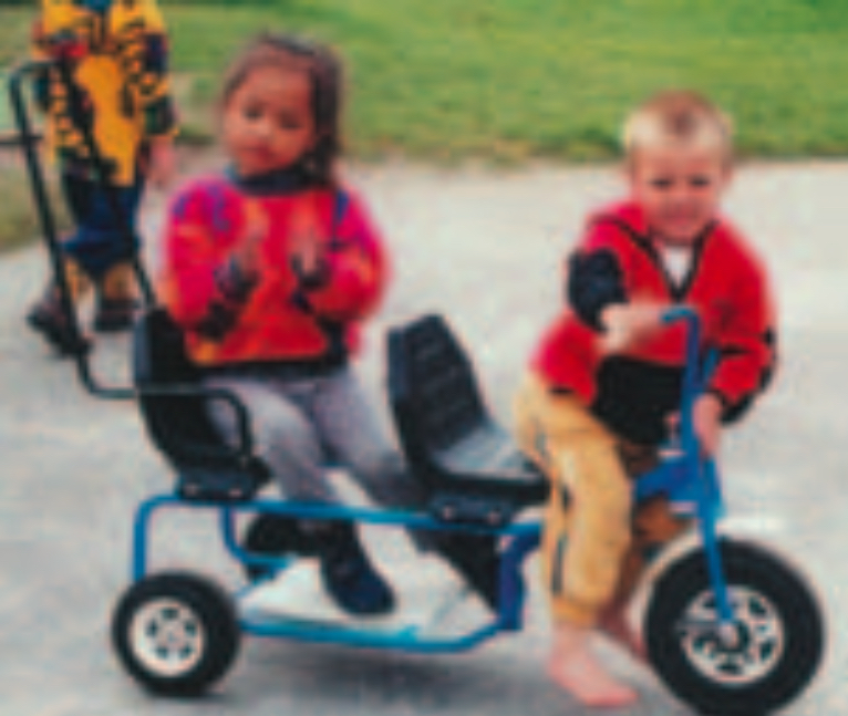 Two children on trike