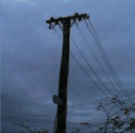 Powerlines, grey sky