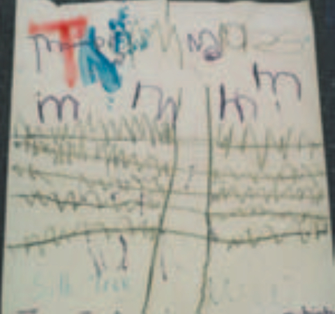 Child's drawing of a silk tree