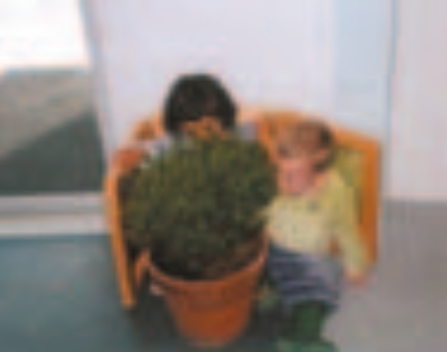 Two infants looking at a pot plant