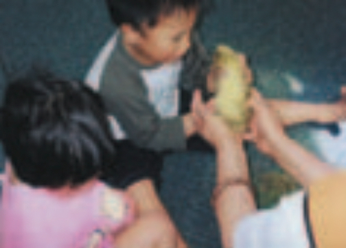 Child holding a duckling