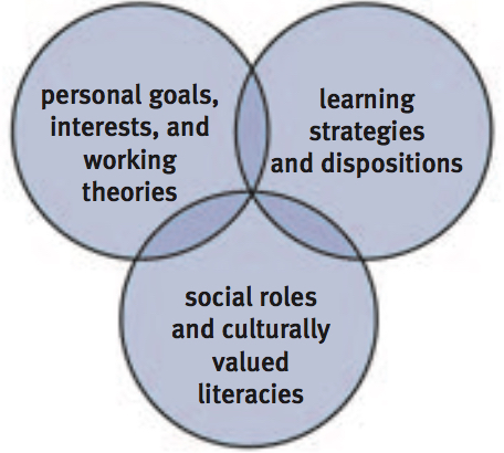 Interlocking circle diagram of three areas of competence